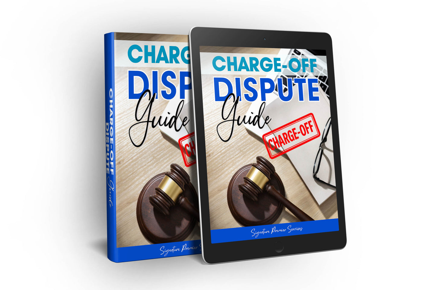 Charge Off Dispute Guide