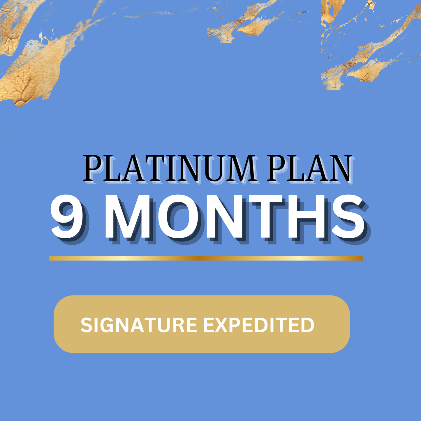 Platinum Plan